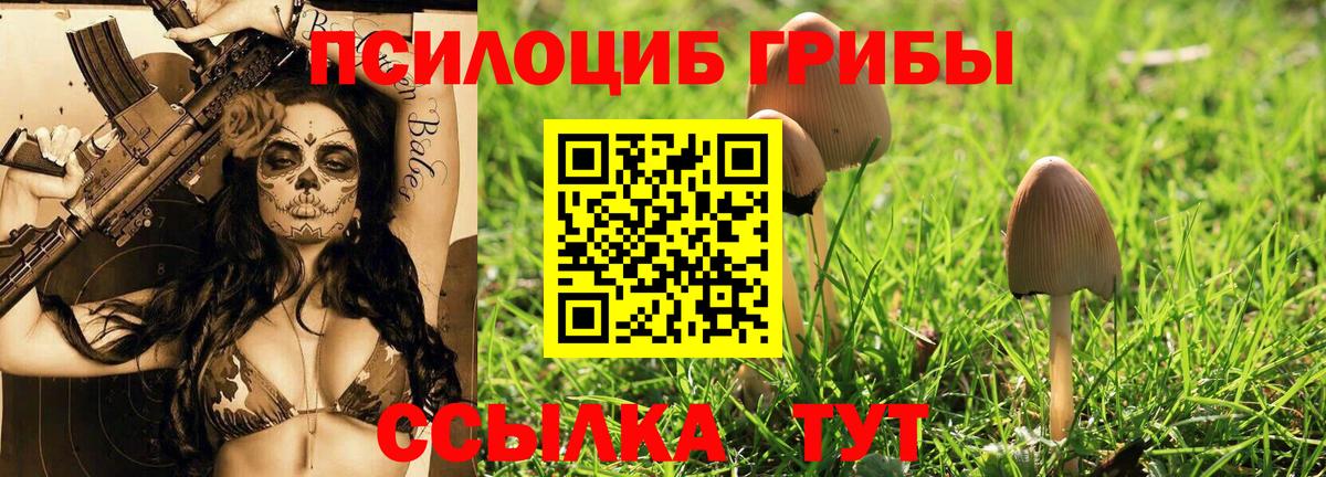 Котовск  Псилоцибиновые грибы MAGIC MUSHROOMS  Вход с VPN 